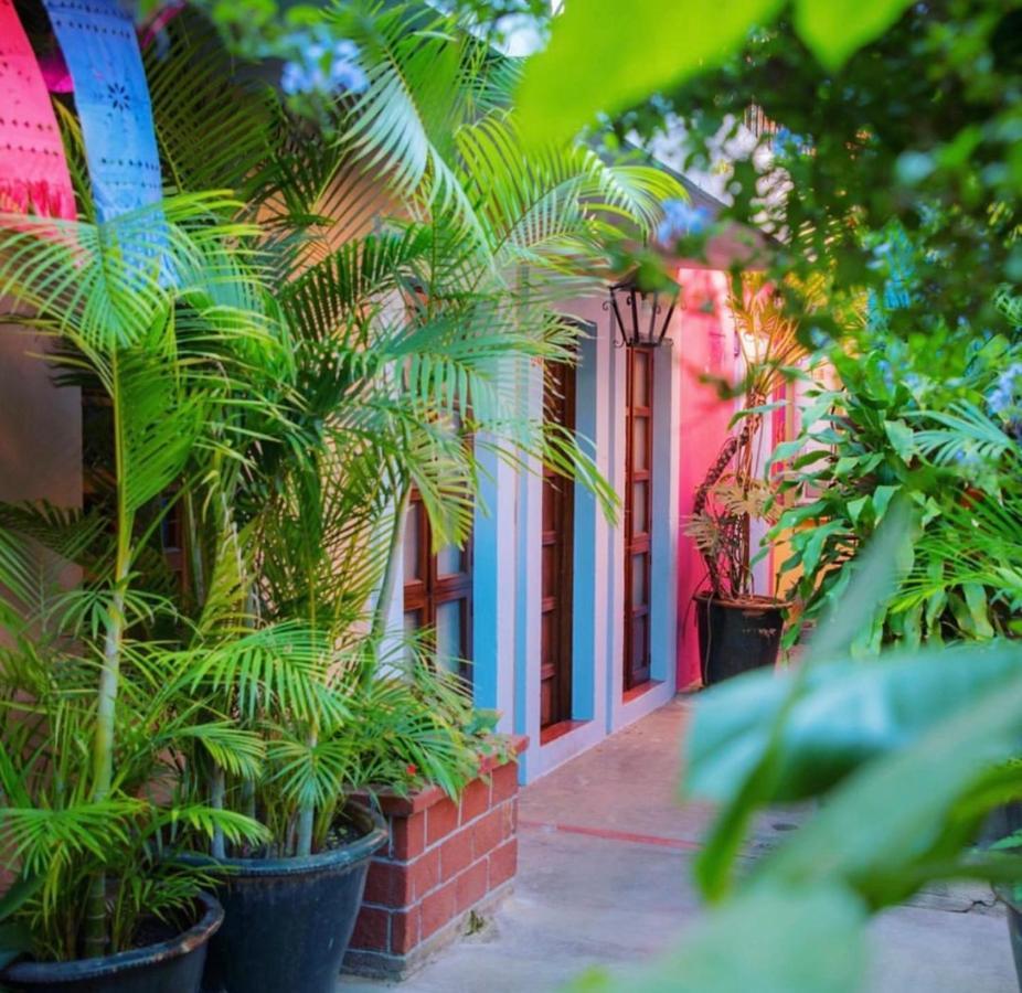 Hotel Las Golondrinas Oaxaca Exteriér fotografie