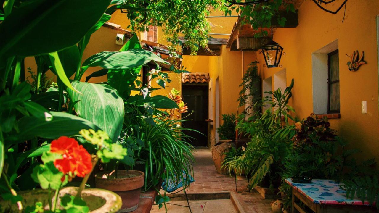 Hotel Las Golondrinas Oaxaca Exteriér fotografie