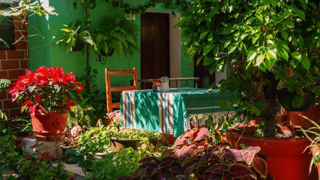 Hotel Las Golondrinas Oaxaca Exteriér fotografie