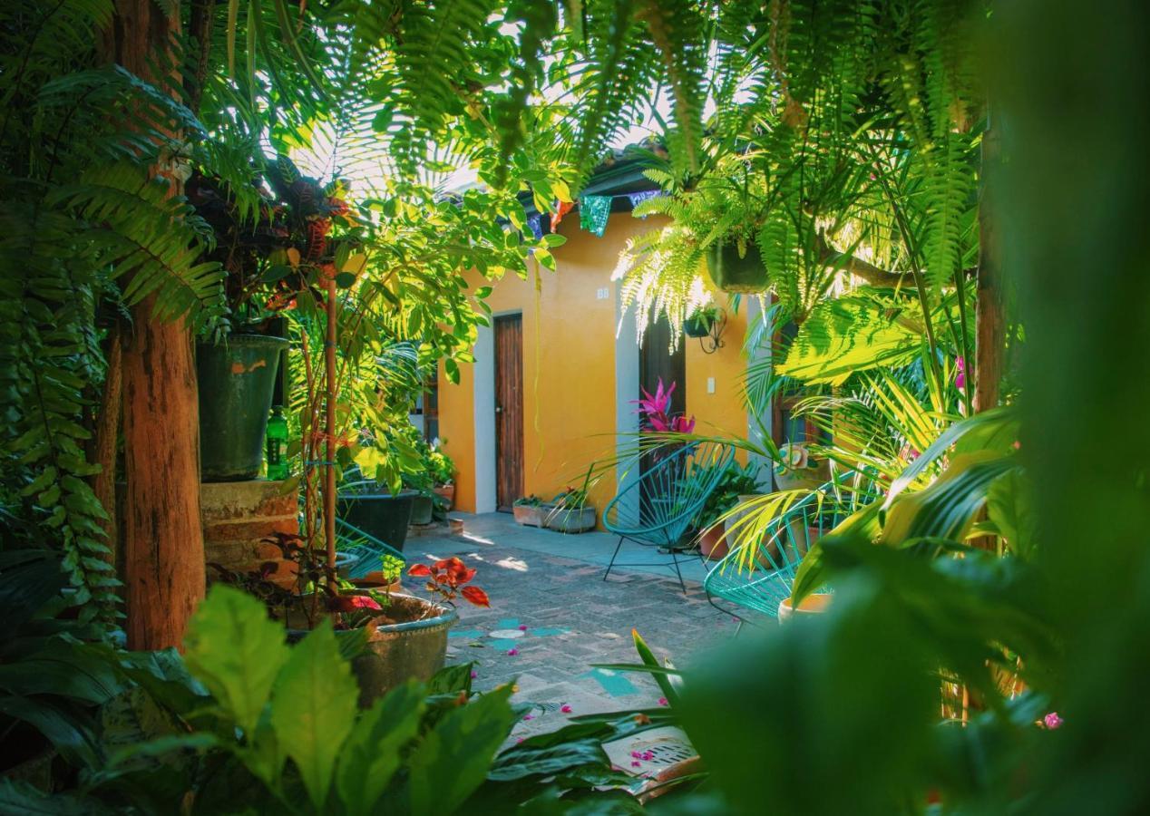 Hotel Las Golondrinas Oaxaca Exteriér fotografie