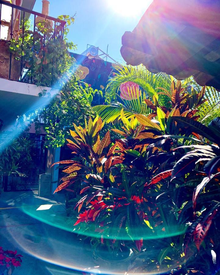 Hotel Las Golondrinas Oaxaca Exteriér fotografie