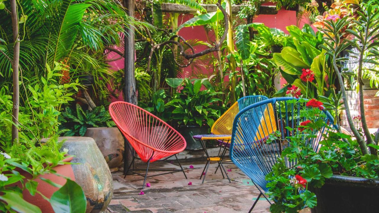 Hotel Las Golondrinas Oaxaca Exteriér fotografie