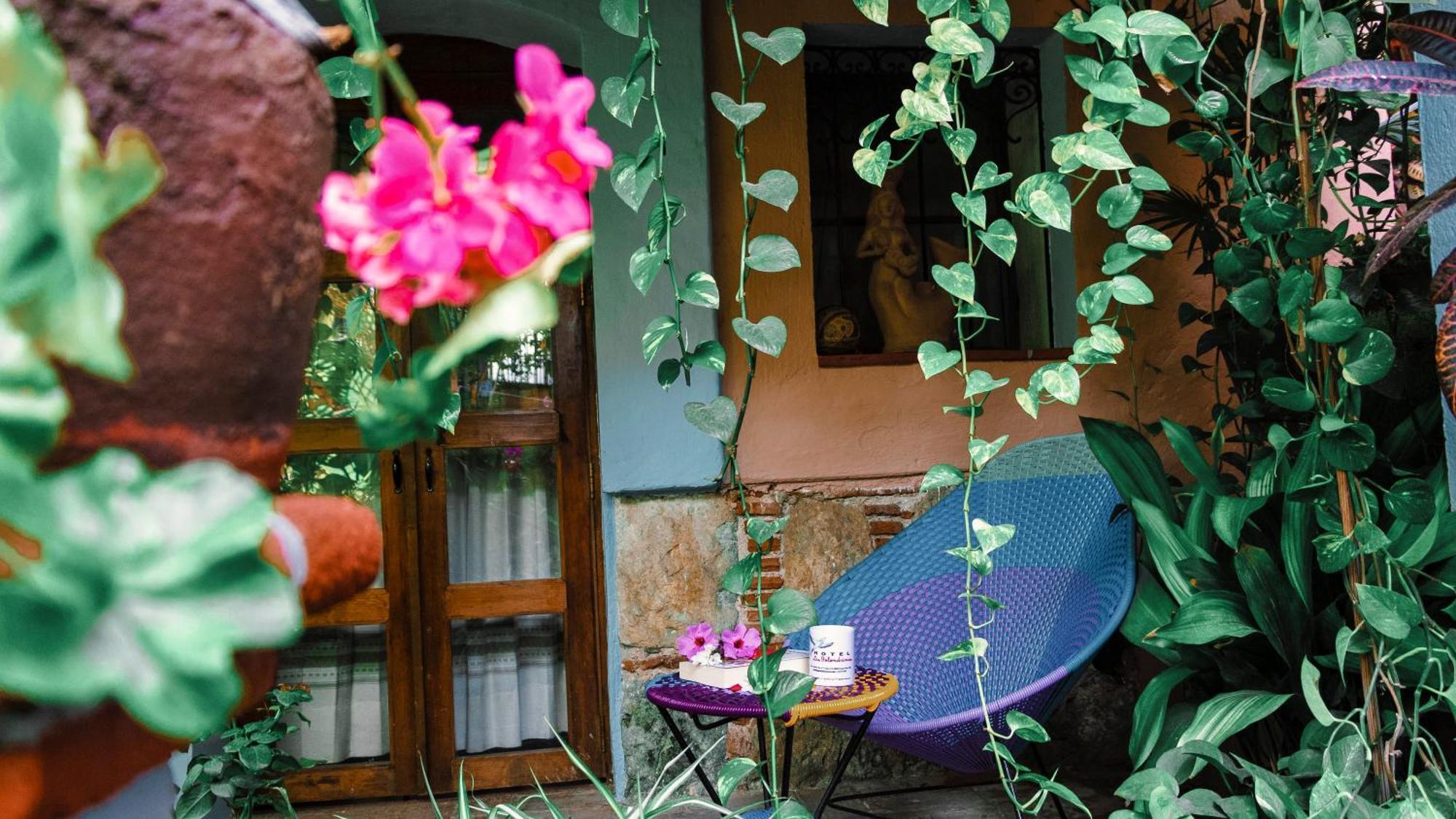 Hotel Las Golondrinas Oaxaca Exteriér fotografie