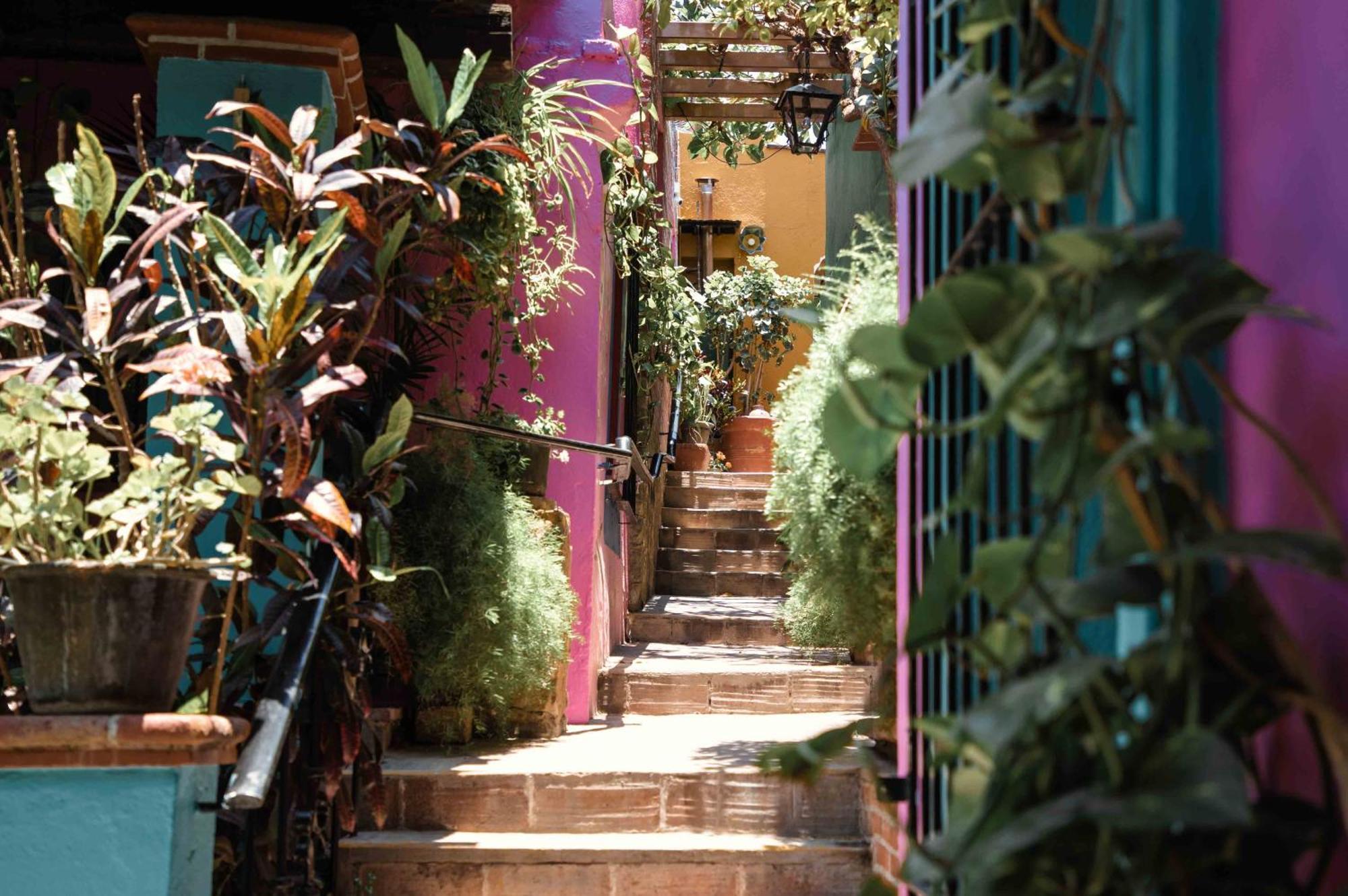 Hotel Las Golondrinas Oaxaca Exteriér fotografie