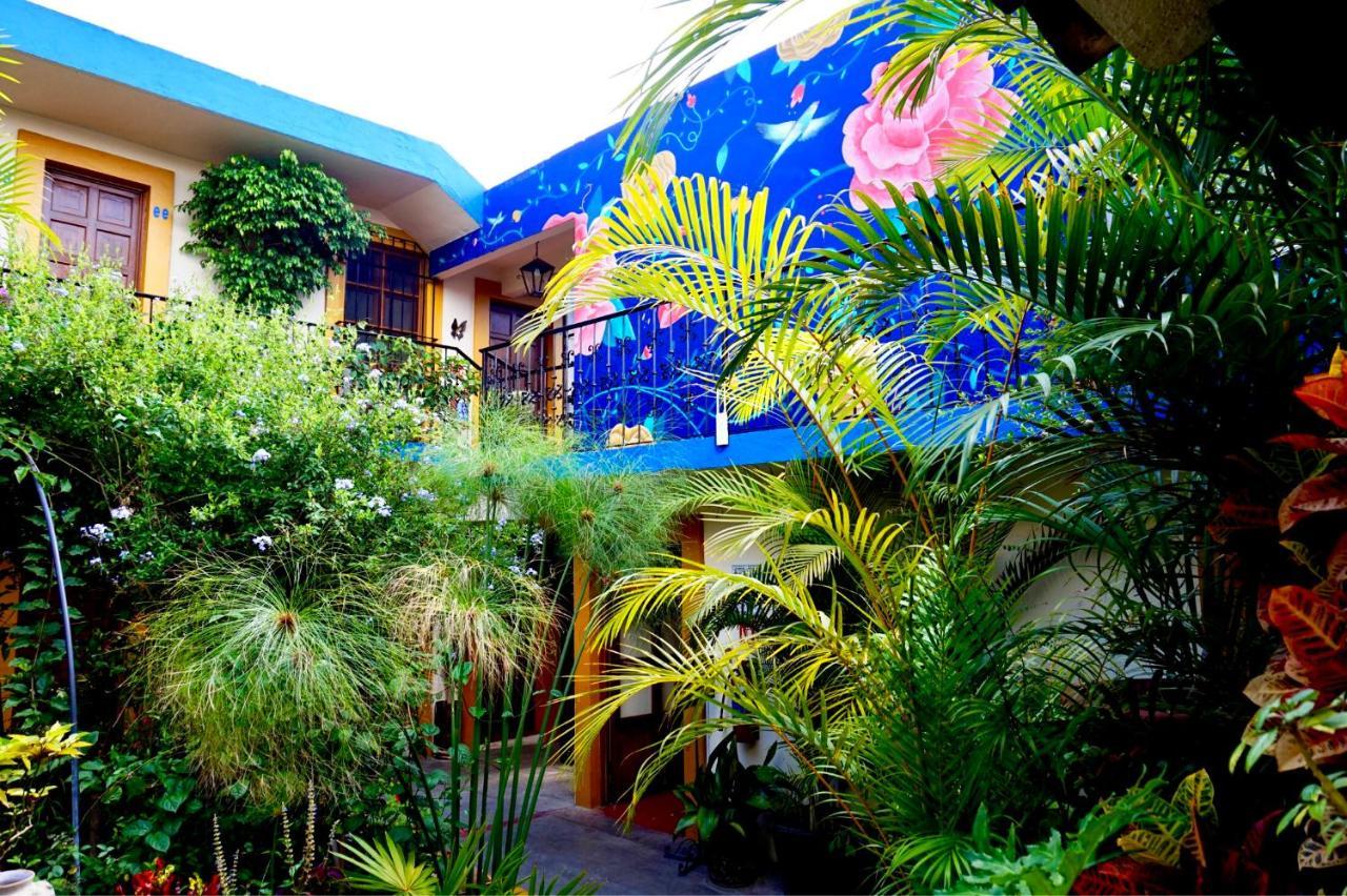 Hotel Las Golondrinas Oaxaca Exteriér fotografie
