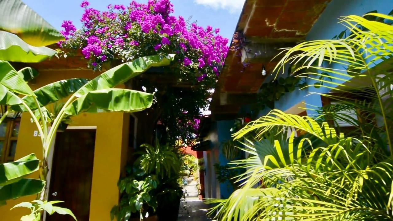Hotel Las Golondrinas Oaxaca Exteriér fotografie