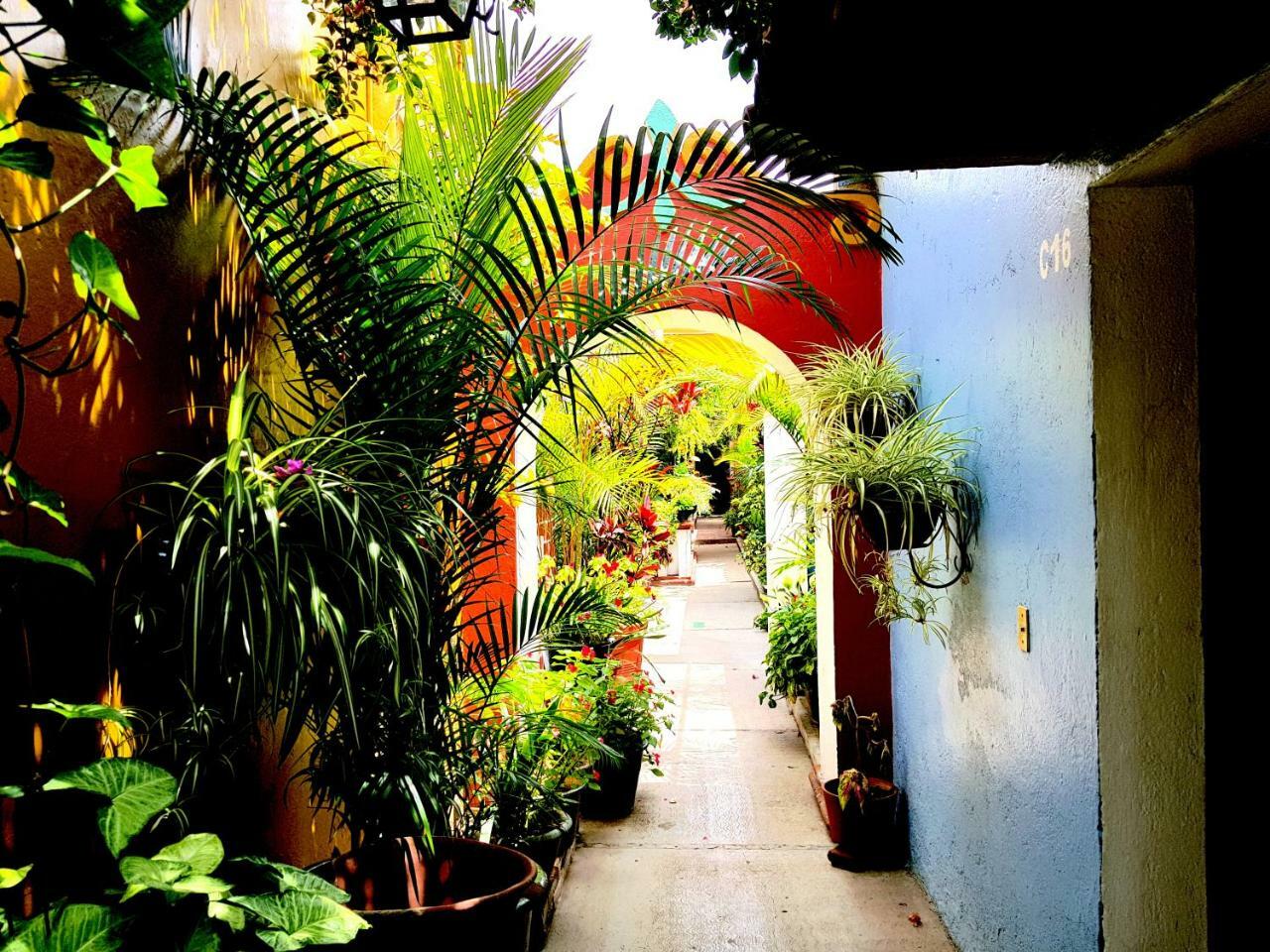 Hotel Las Golondrinas Oaxaca Exteriér fotografie